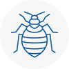 Bed Bug Extermination In Cheshunt