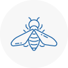 Bee Nest Removal Cheshunt