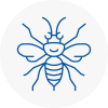 Cheshunt Hornet Nest Removals