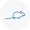 Mice Exterminators In Cheshunt
