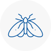 Moth Control Specialists In Cheshunt