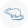 Rat Control Cheshunt