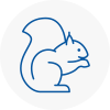 Cheshunt Rodent Removals