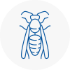 Cheshunt Wasp Nest Removal